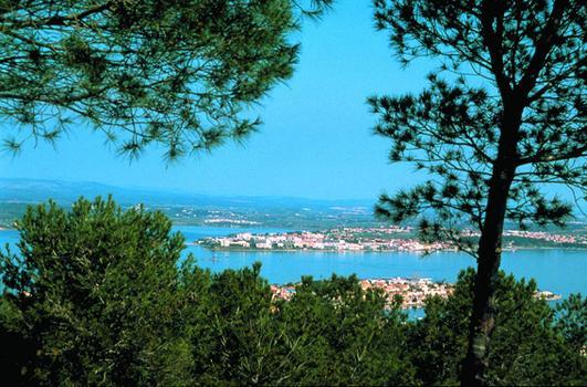 Les Oliviers Διαμέρισμα Balaruc-les-Bains Εξωτερικό φωτογραφία
